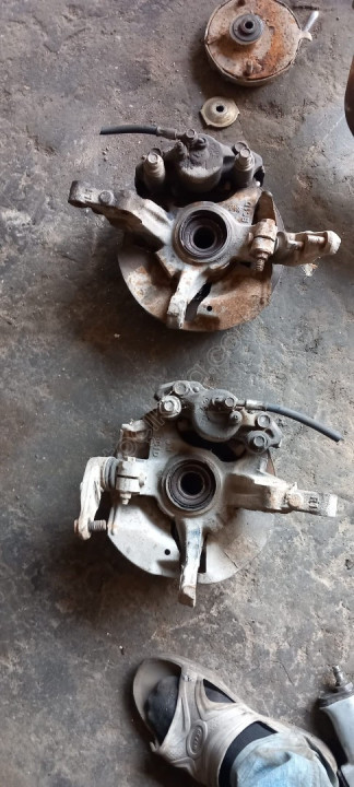 On taşıyıcı adet