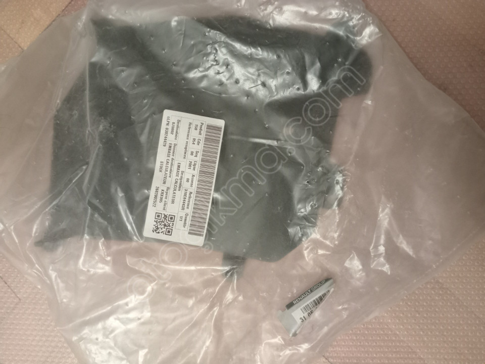 Otomatik sanziman beyin kapagi fluence 310E84443R