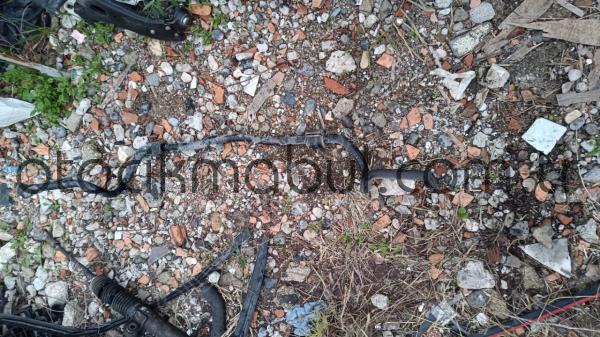 Focus 1 viraj demiri