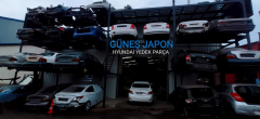 GÜNEŞ JAPON